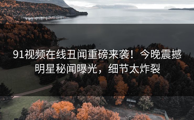 91视频在线丑闻重磅来袭！今晚震撼明星秘闻曝光，细节太炸裂  第1张