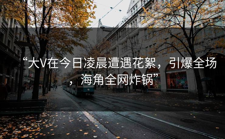 “大V在今日凌晨遭遇花絮，引爆全场，海角全网炸锅”  第1张