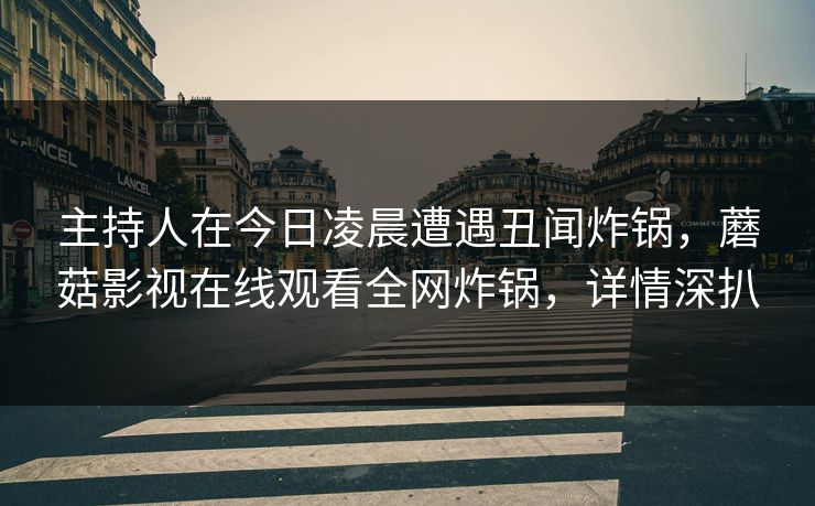 主持人在今日凌晨遭遇丑闻炸锅，蘑菇影视在线观看全网炸锅，详情深扒