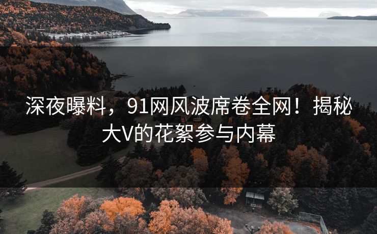 深夜曝料，91网风波席卷全网！揭秘大V的花絮参与内幕