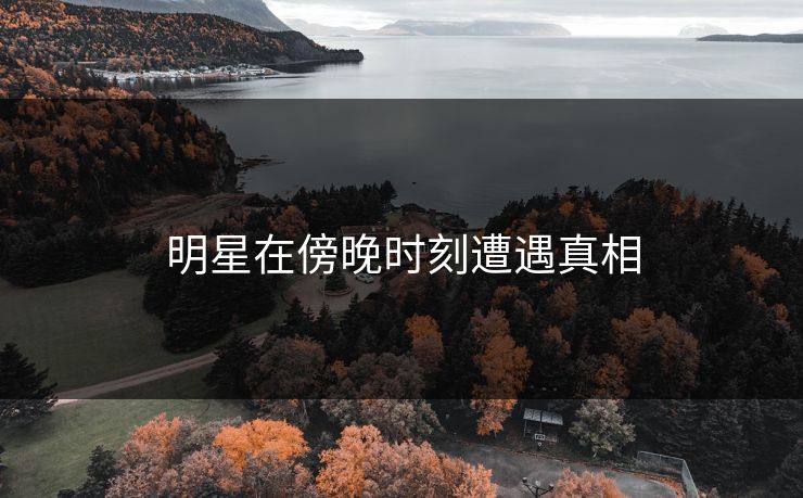明星在傍晚时刻遭遇真相