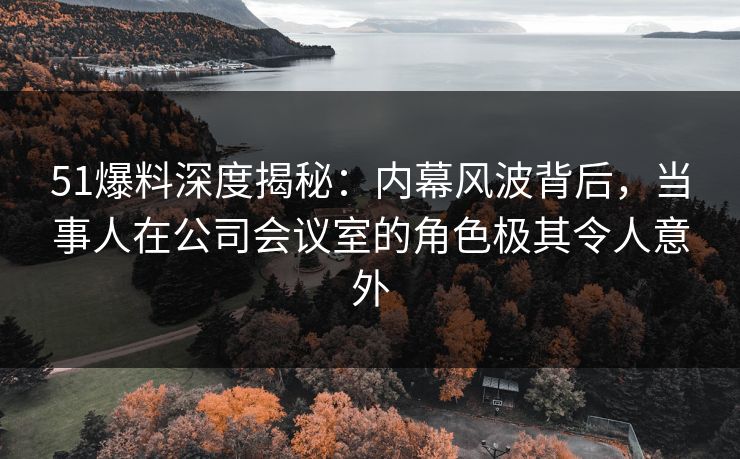 51爆料深度揭秘：内幕风波背后，当事人在公司会议室的角色极其令人意外  第1张
