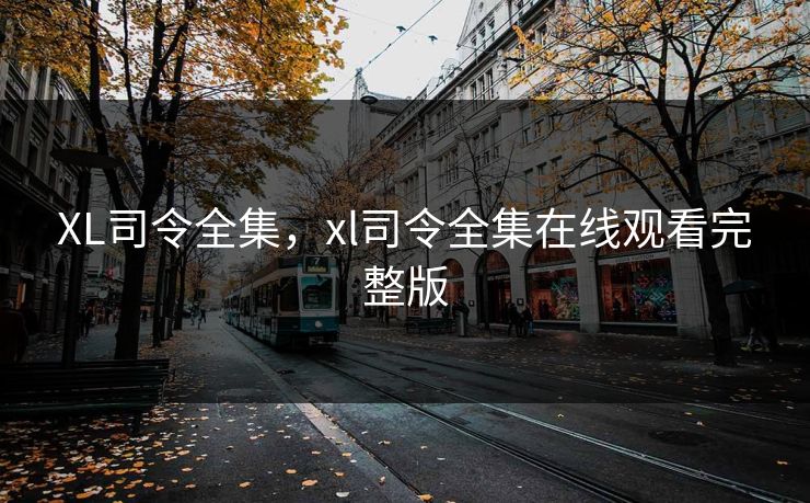 XL司令全集，xl司令全集在线观看完整版  第1张