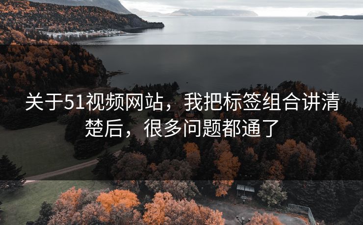 关于51视频网站，我把标签组合讲清楚后，很多问题都通了  第1张